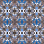 Canopy 1. Gila Riparian Preserve. New-Mexico