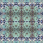 Nopales 1. Mesa de Anguila, Far West Texas