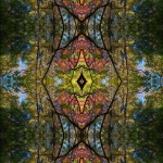 23 October 2011 – 11:41:01