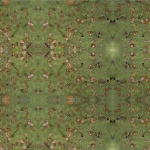cattail-falls-opuntia